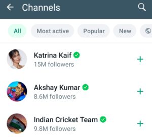 WhatsApp Channel Verified