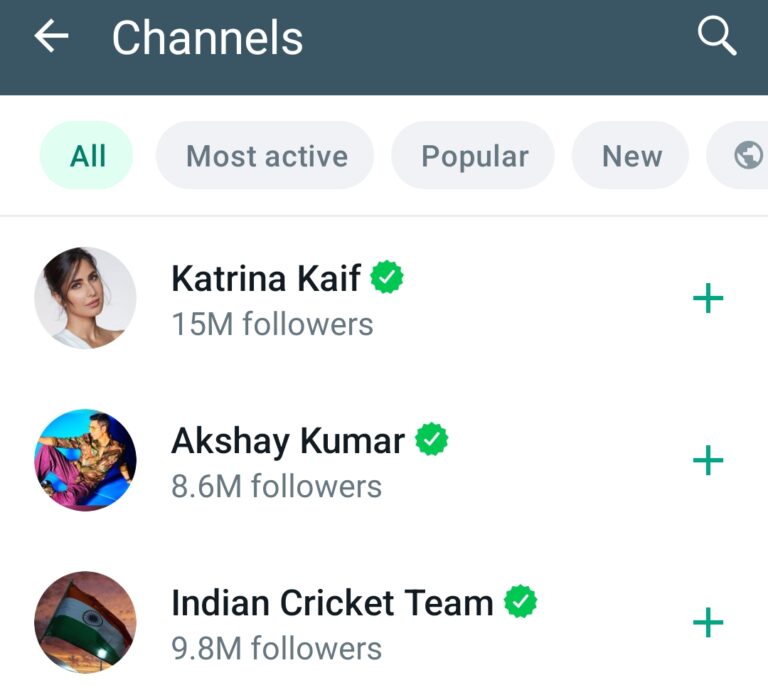 WhatsApp Channel Verified