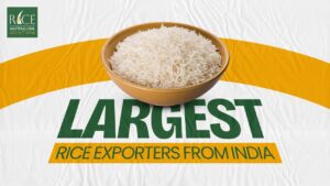 Rice Master Global: Leading the Way as India’s Top Basmati Rice Exporter